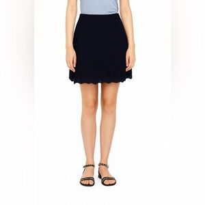 Club Monaco Navy Lace Skirt